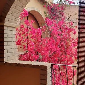 Casa vacanze P.piano - Centro Paese, Villasimius