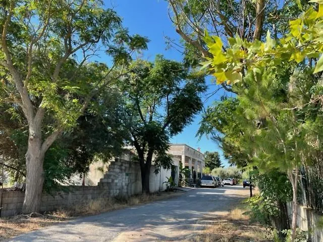 Lejlighed Stefania Guest House Giba Italien
